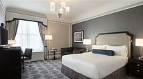Fairmont Room with Sofa Bed